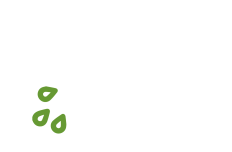 Optimale Bewässerung