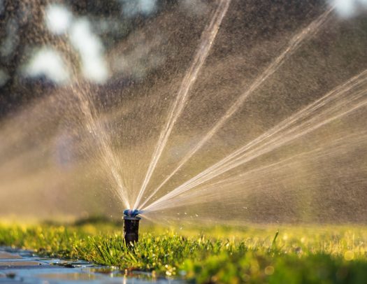 Versenkregner automatische Bewässerung